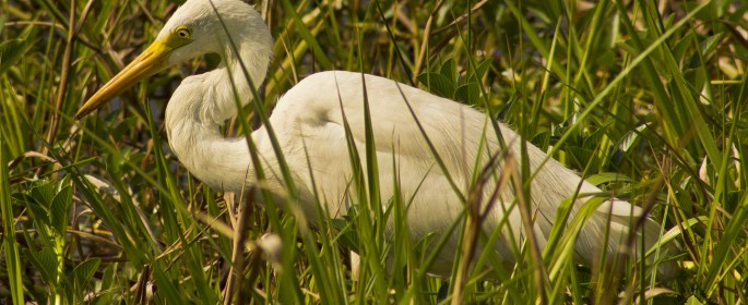 featured image IMG_0760