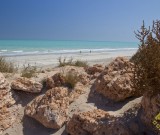 featured image 80 Mile Beach