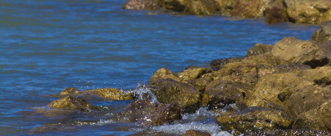 featured image IMG_3085