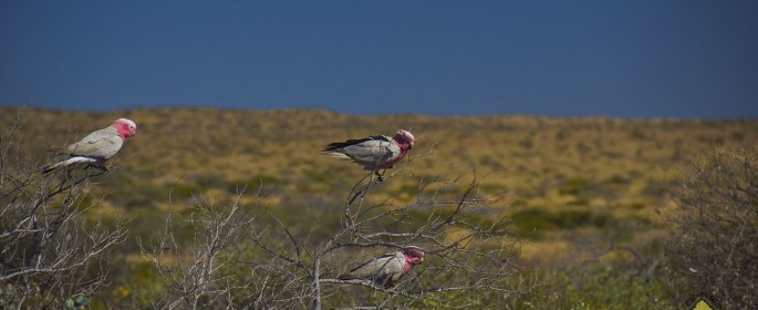 featured image IMG_3202