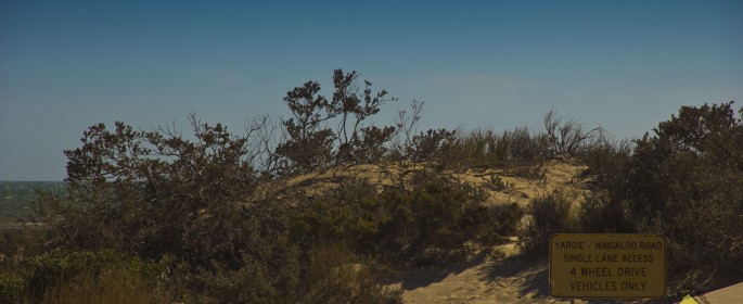 featured image IMG_3317