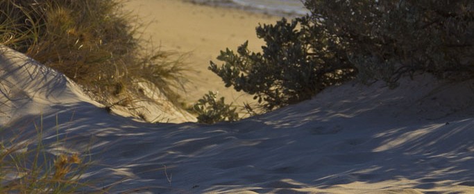 featured image IMG_3442