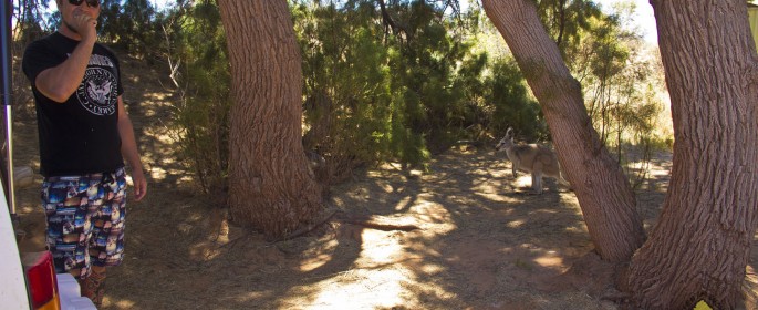 featured image IMG_3554