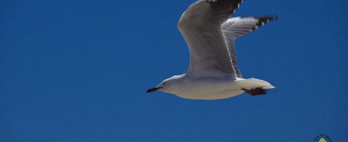 featured image IMG_3638