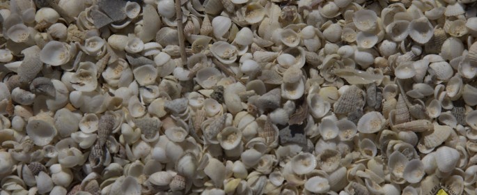 featured image IMG_3841