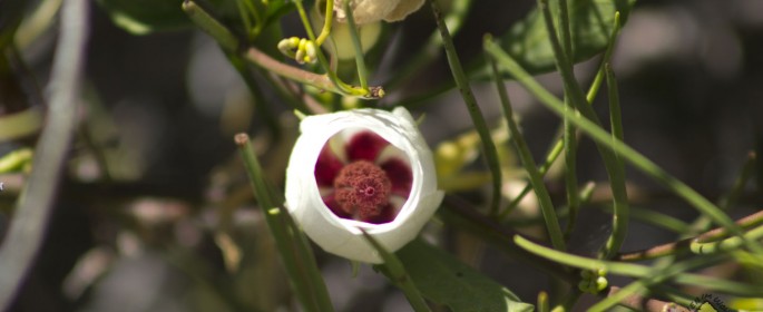 featured image IMG_3849