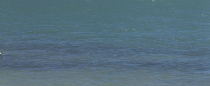 featured image IMG_3878