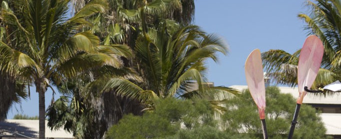 featured image IMG_3883