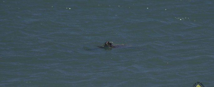 featured image IMG_3924