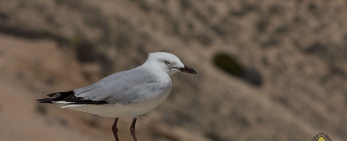 featured image IMG_3995