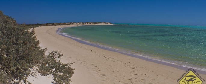 featured image P1040104