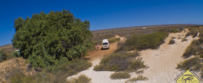 featured image P1040131