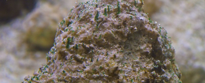 featured image P1040299