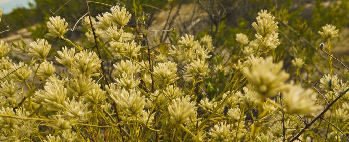 featured image P1040329