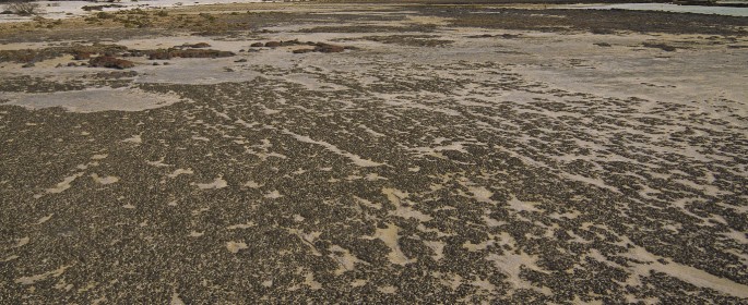 featured image P1040337