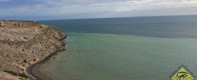 featured image P1040357