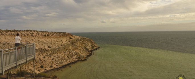 featured image P1040366