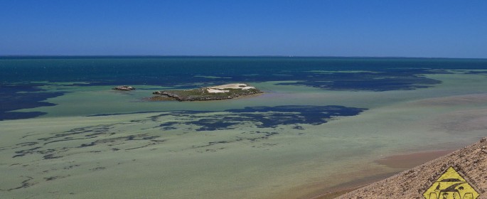 featured image P1040383