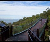 featured image Fotorundgang: Kings Park, Perth, Western Australia