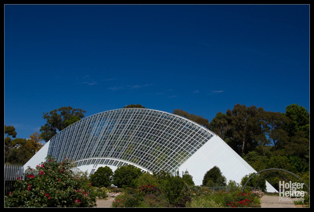 20121113-Adelaide Botanical Garden-0001