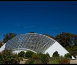 featured image Adelaide Botanic Gardens