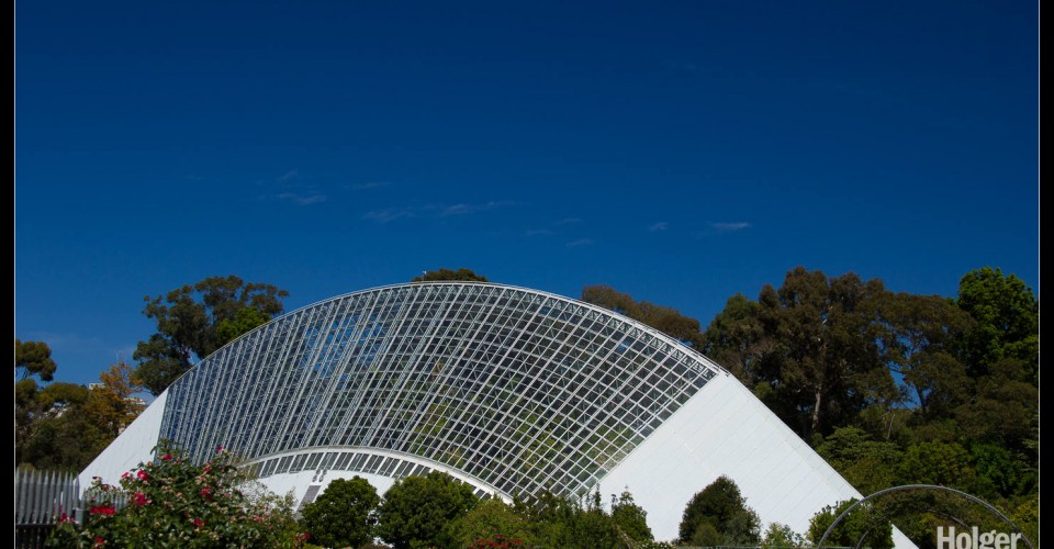 featured image Adelaide Botanic Gardens
