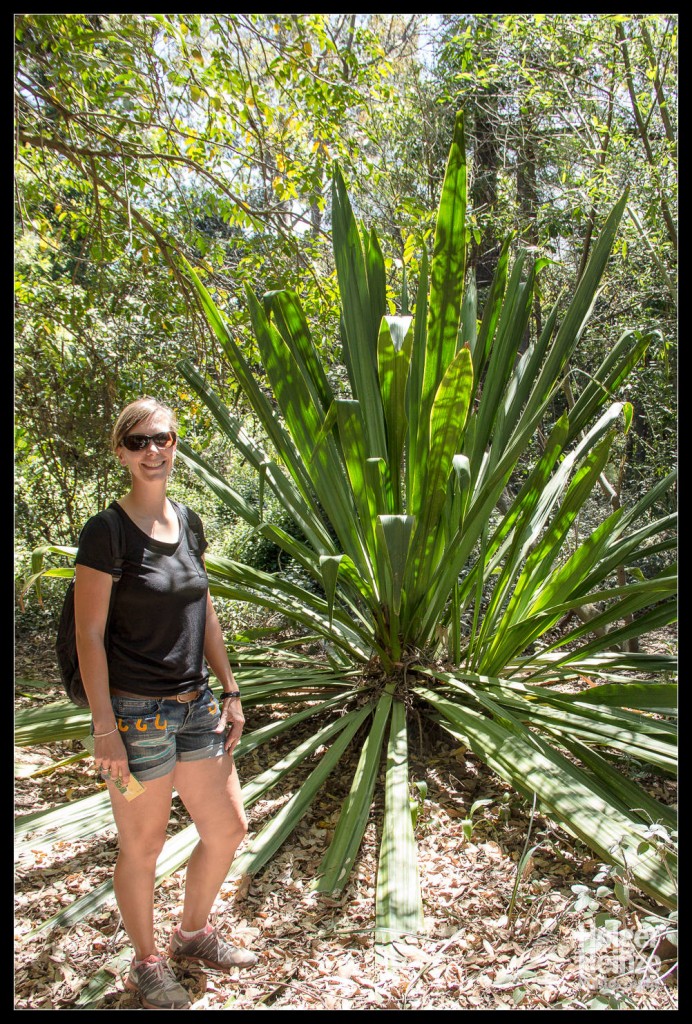 20121113-Adelaide Botanical Garden-0009