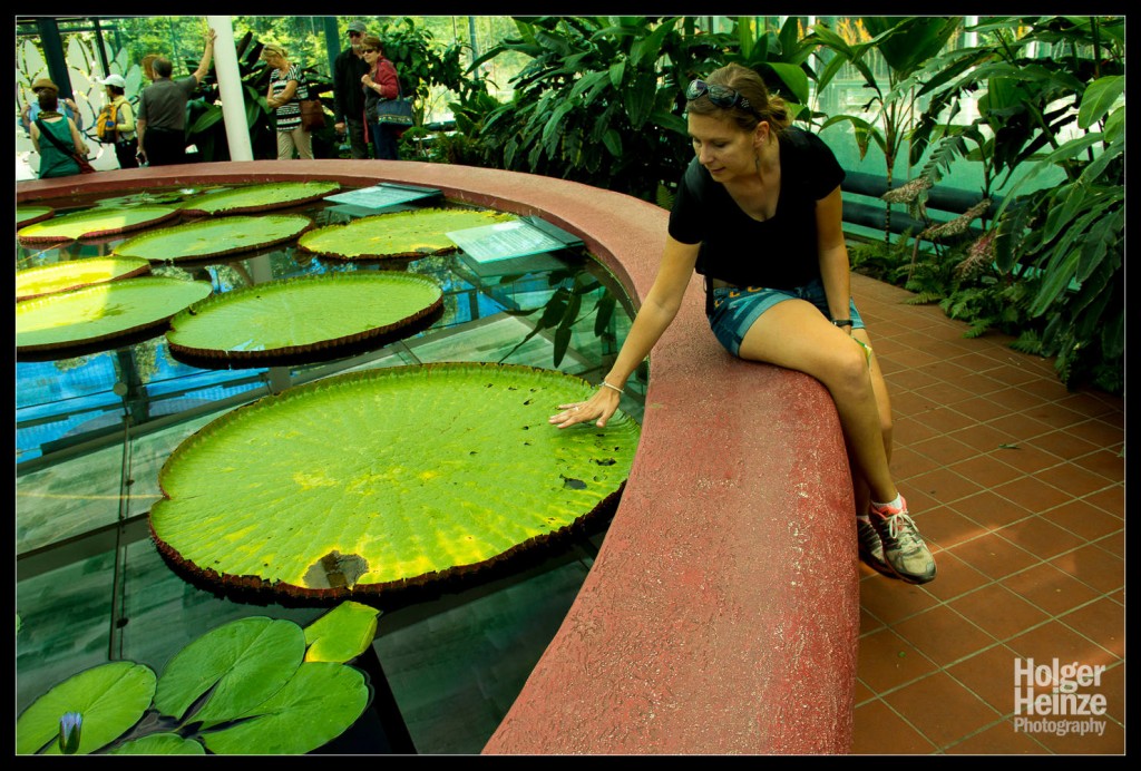 20121113-Adelaide Botanical Garden-0017