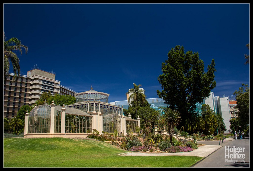 20121113-Adelaide Botanical Garden-0018