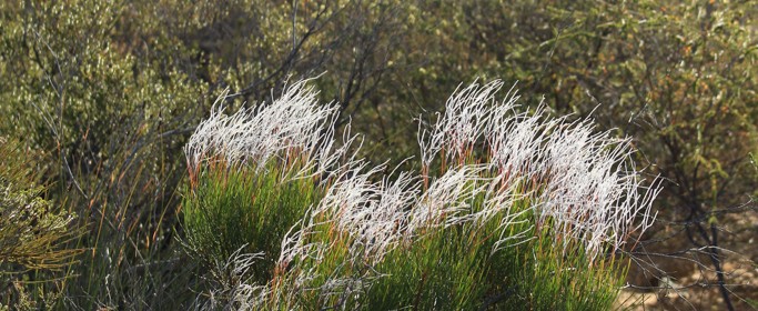 featured image IMG_4057