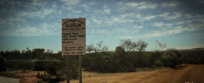 featured image P1040392