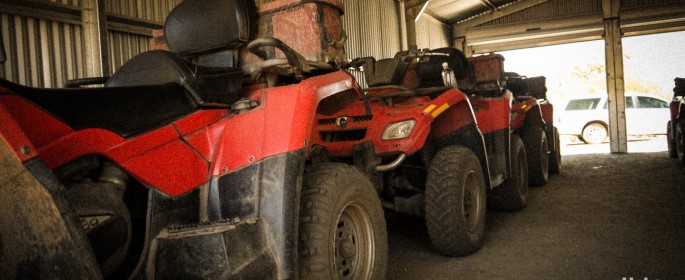 featured image P1040396