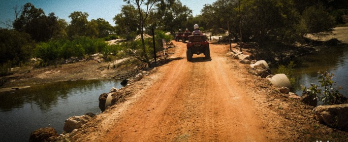 featured image P1040404