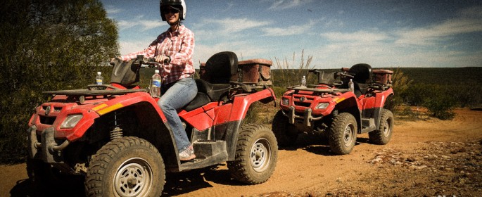 featured image P1040417