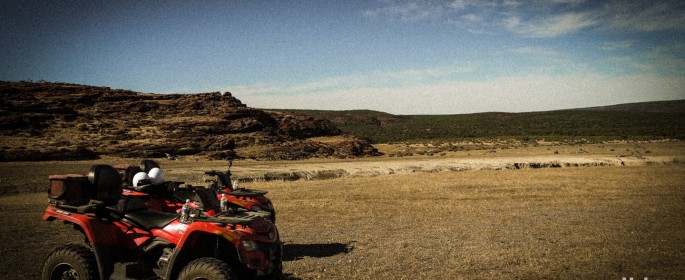 featured image P1040427