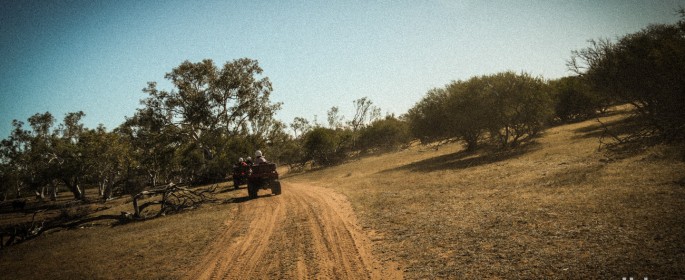 featured image P1040434