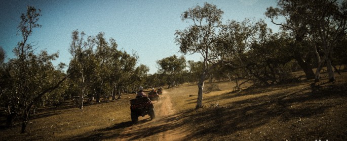 featured image P1040447