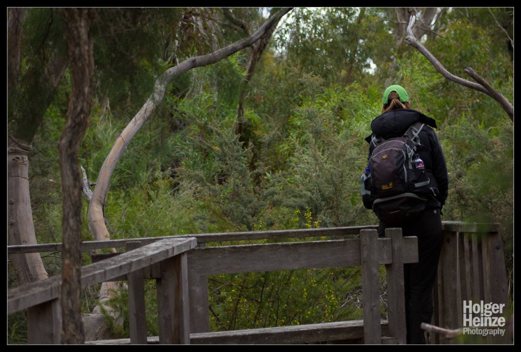 Kangaroo Island: Hier gibt's kein Schnabeltier
